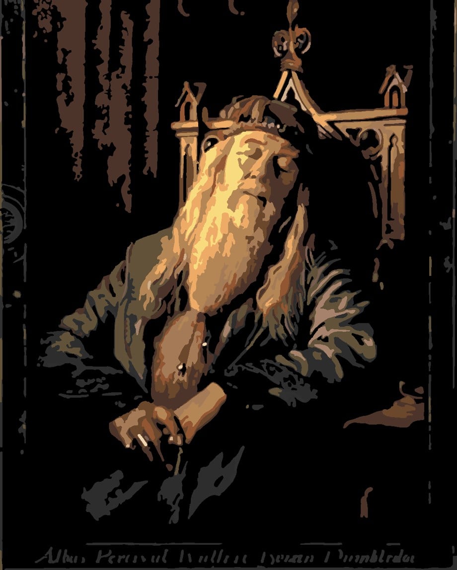 Gandalf Sayılarla Boyama Seti 60x75 cm (Tuvale Gerili)