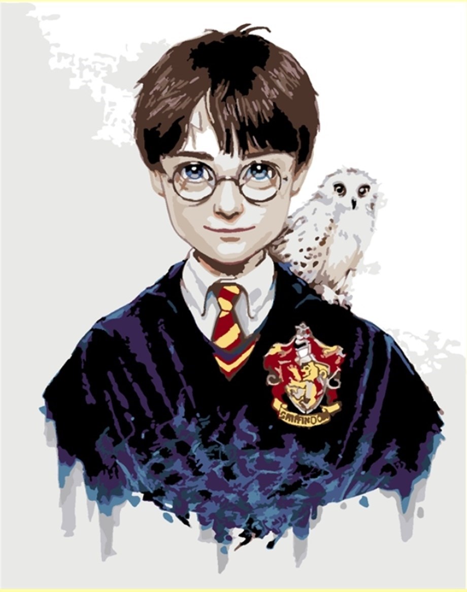Harry Potter Sayılarla Boyama Seti 40x50 cm (Tuvale Gerili) - Womb Hobby