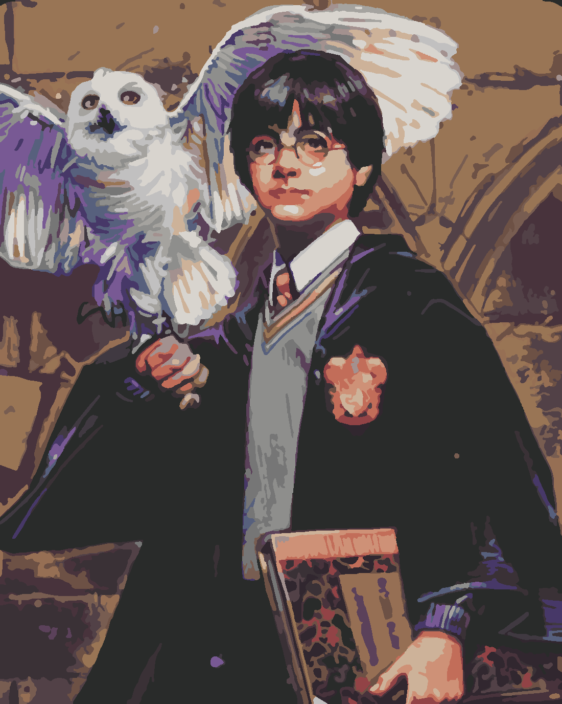 HARRY POTTER  VE HEDWIG Boyama Seti 40x50 cm (Tuvale Gerili)