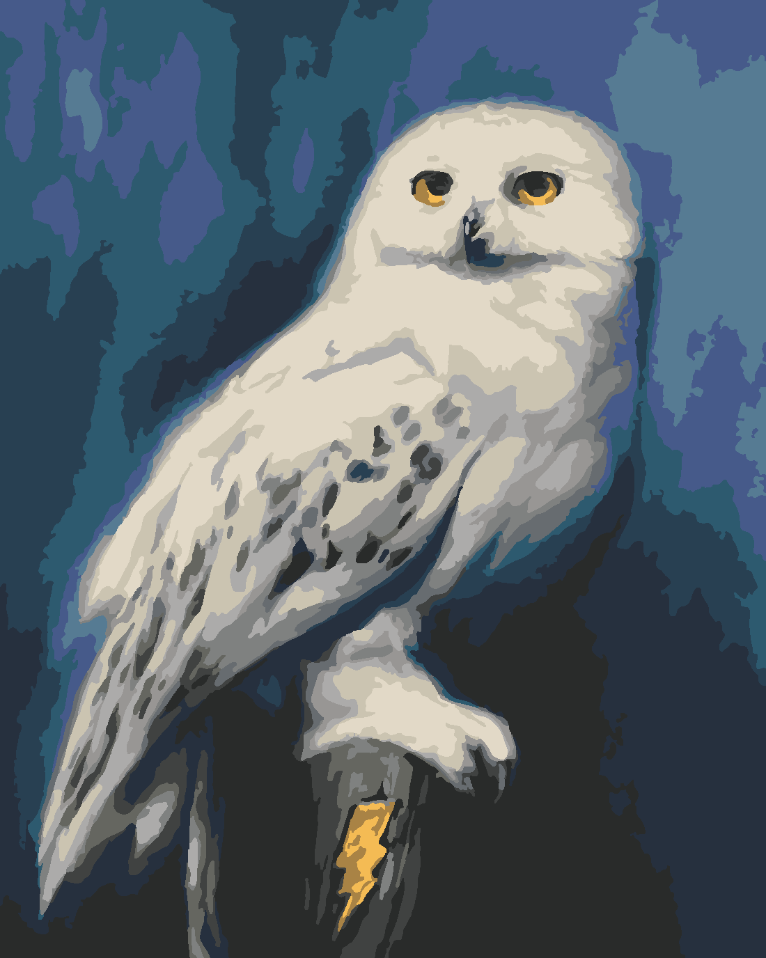 HEDWIG 2 Boyama Seti 40x50 cm (Tuvale Gerili)