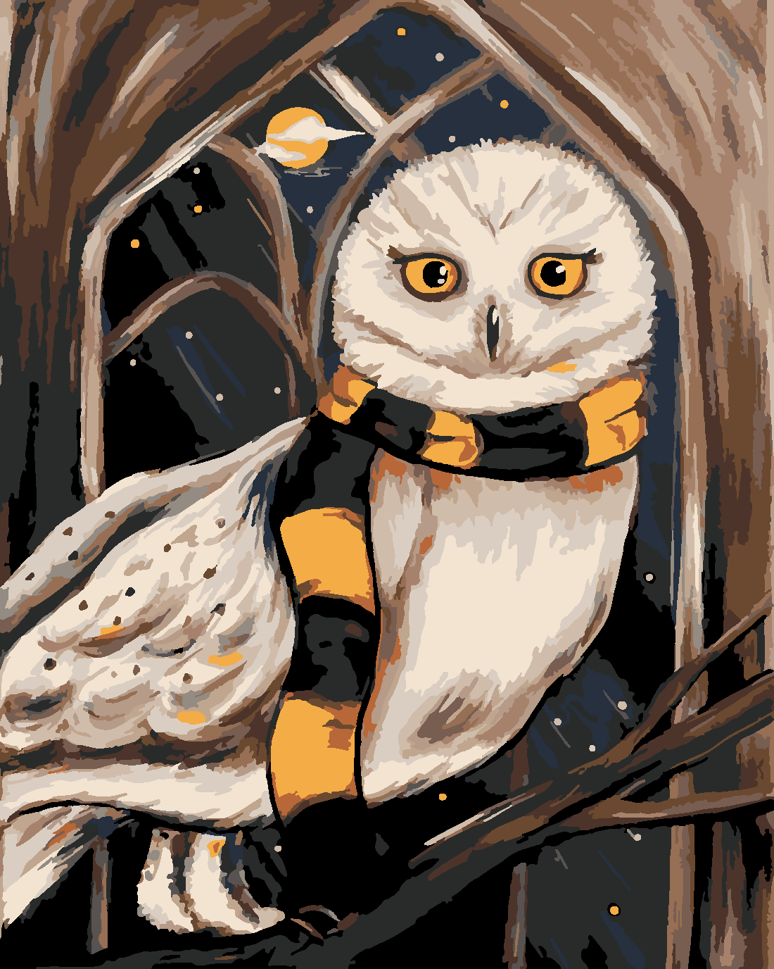 HEDWIG Boyama Seti 40x50 cm (Tuvale Gerili)