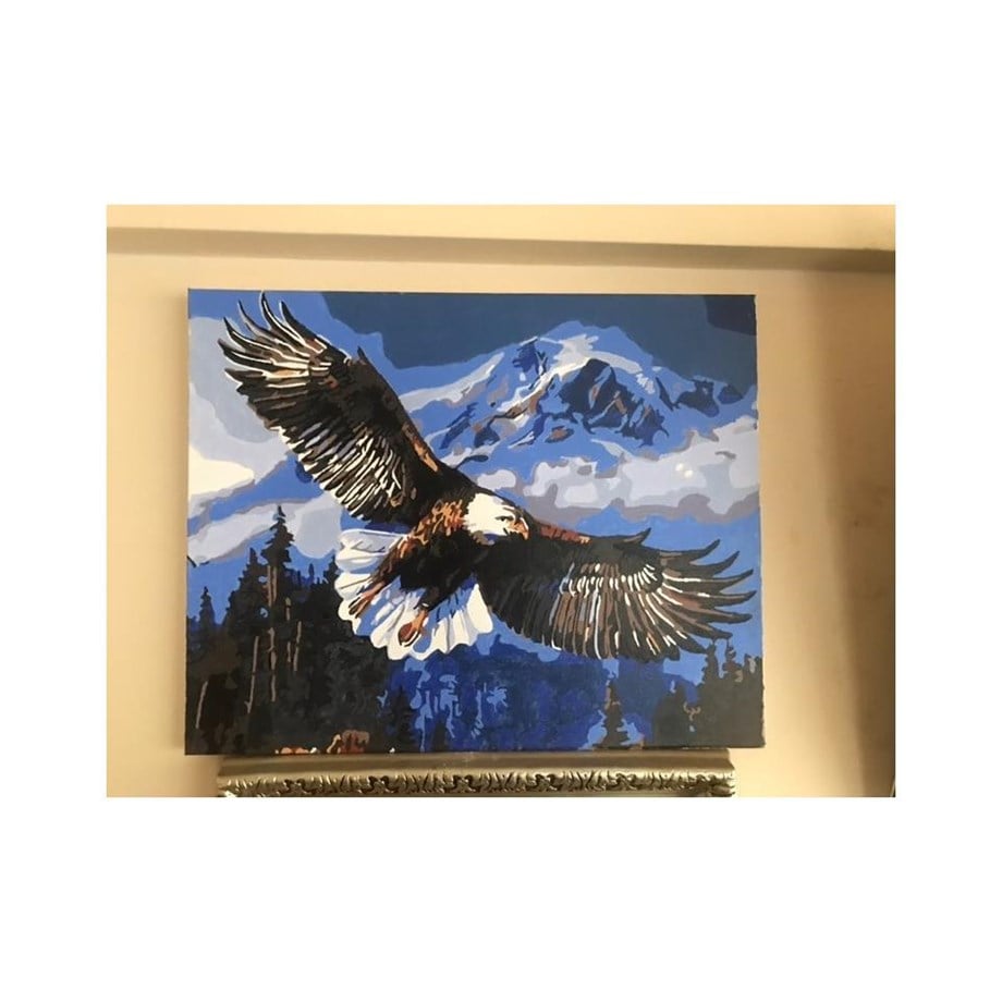 Kartal Sayılarla Boyama Seti 40x50 cm (Tuvale Gerili)