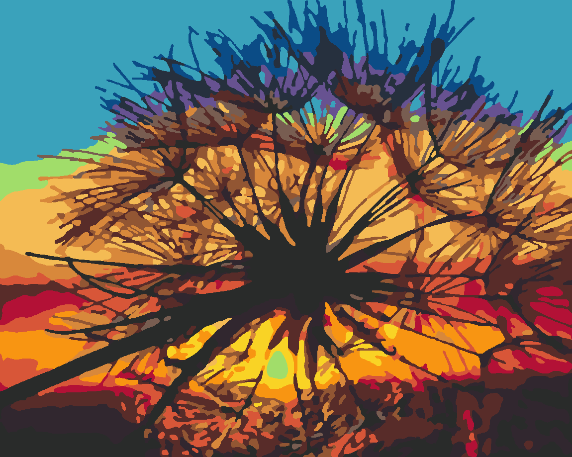 Kasımpatı Ve Günbatımı Boyama Seti 40x50 cm (Tuvale Gerili)