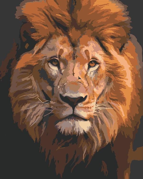 Korkusuz Aslan Sayılarla Boyama Seti (Tuvale Gerili)