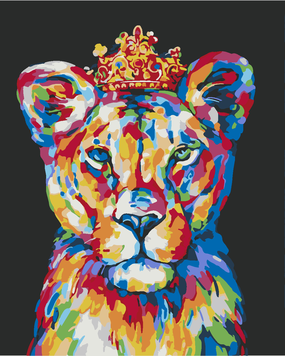 KRAL ASLAN Boyama Seti 40x50 cm (Tuvale Gerili)