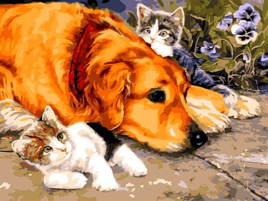 Küçük Dostlar Sayılarla Boyama Seti 40x50 cm (Tuvale Gerili)