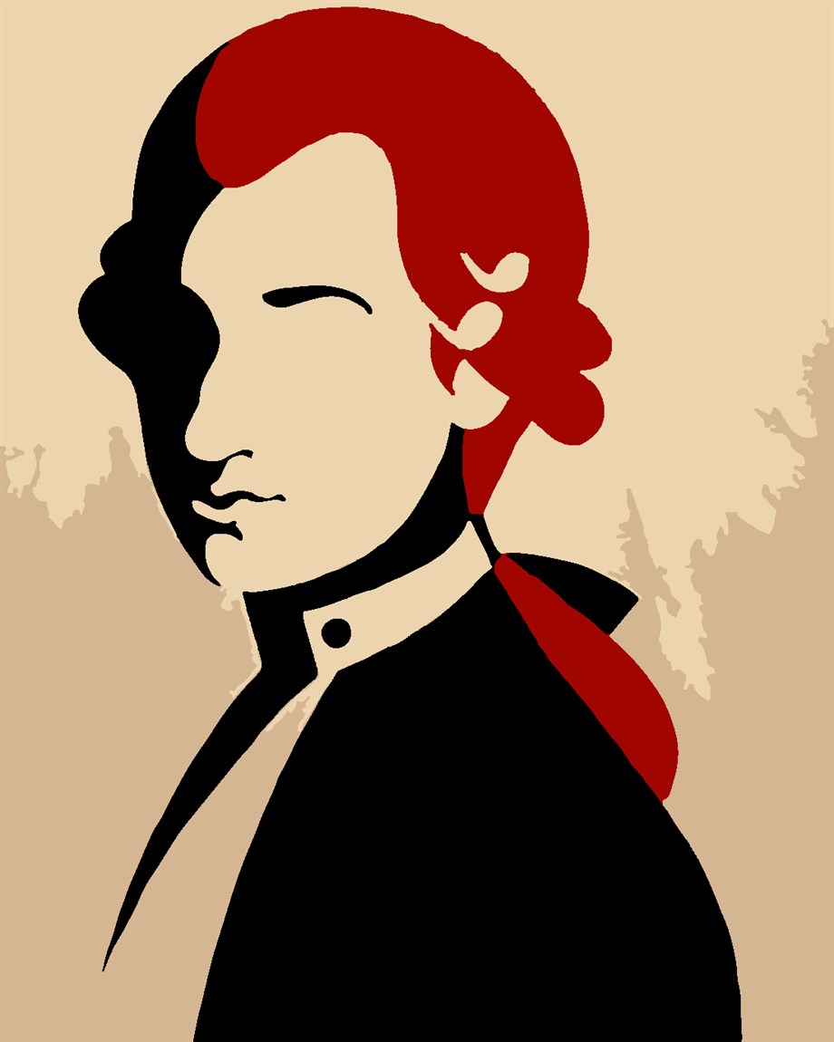 Mozart Sayılarla Boyama Seti 30x40 cm (Tuvale Gerili)