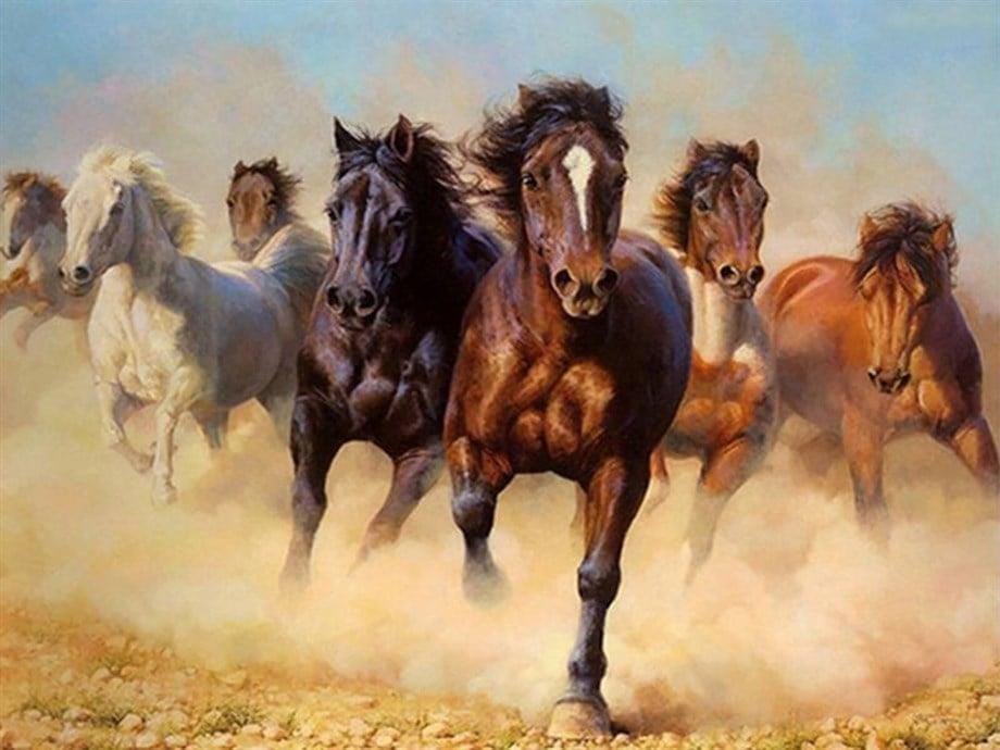 Mustang Sayılarla Boyama Seti(40x50 cm Tuval Şasesine Gerili)