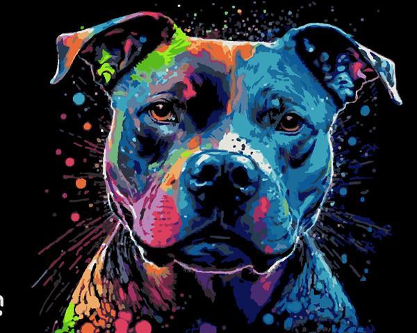 Neon Pit Bull Sayılarla Boyama Seti (Tuvale Gerili)