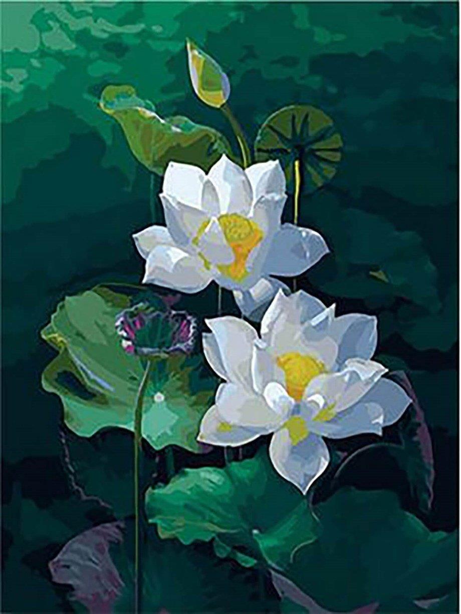 Nilüfer Sayılarla Boyama Seti 40x50 cm (Tuvale Gerili)