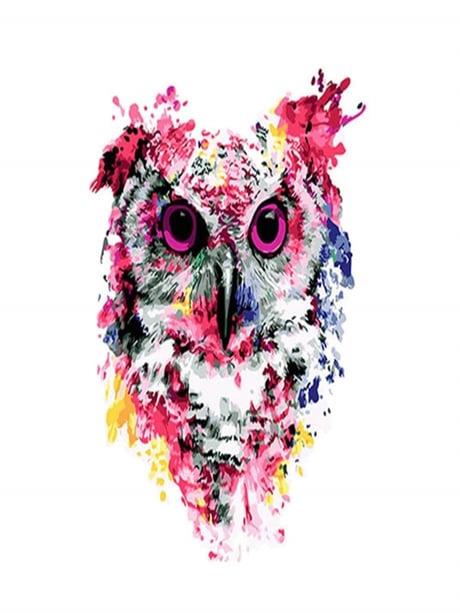 Pembe Baykuşlar Sayılarla Boyama Seti 40x50 cm (Tuvale Gerili)