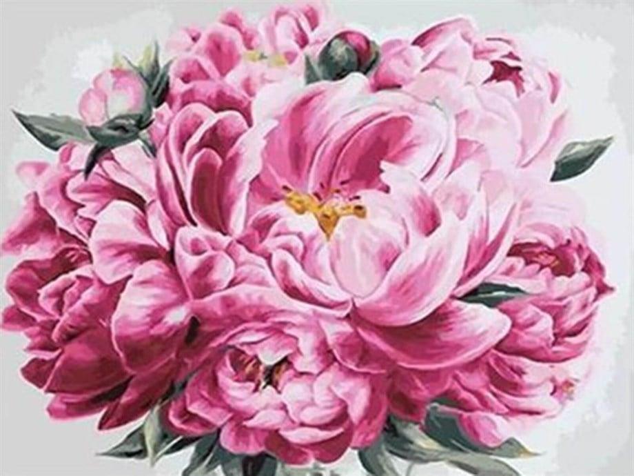 Pembe Şakayık Sayılarla Boyama Seti(40x50 cm Tuval Şasesine Gerili)