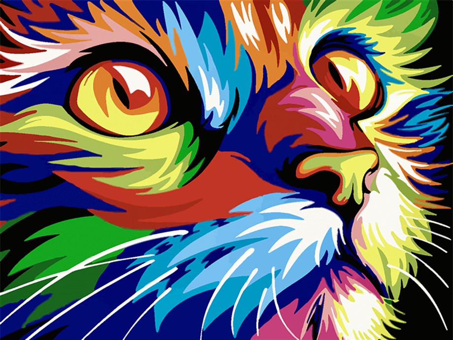 Renkli Kedi Sayılarla Boyama Seti 50x65 cm (Tuvale Gerili)