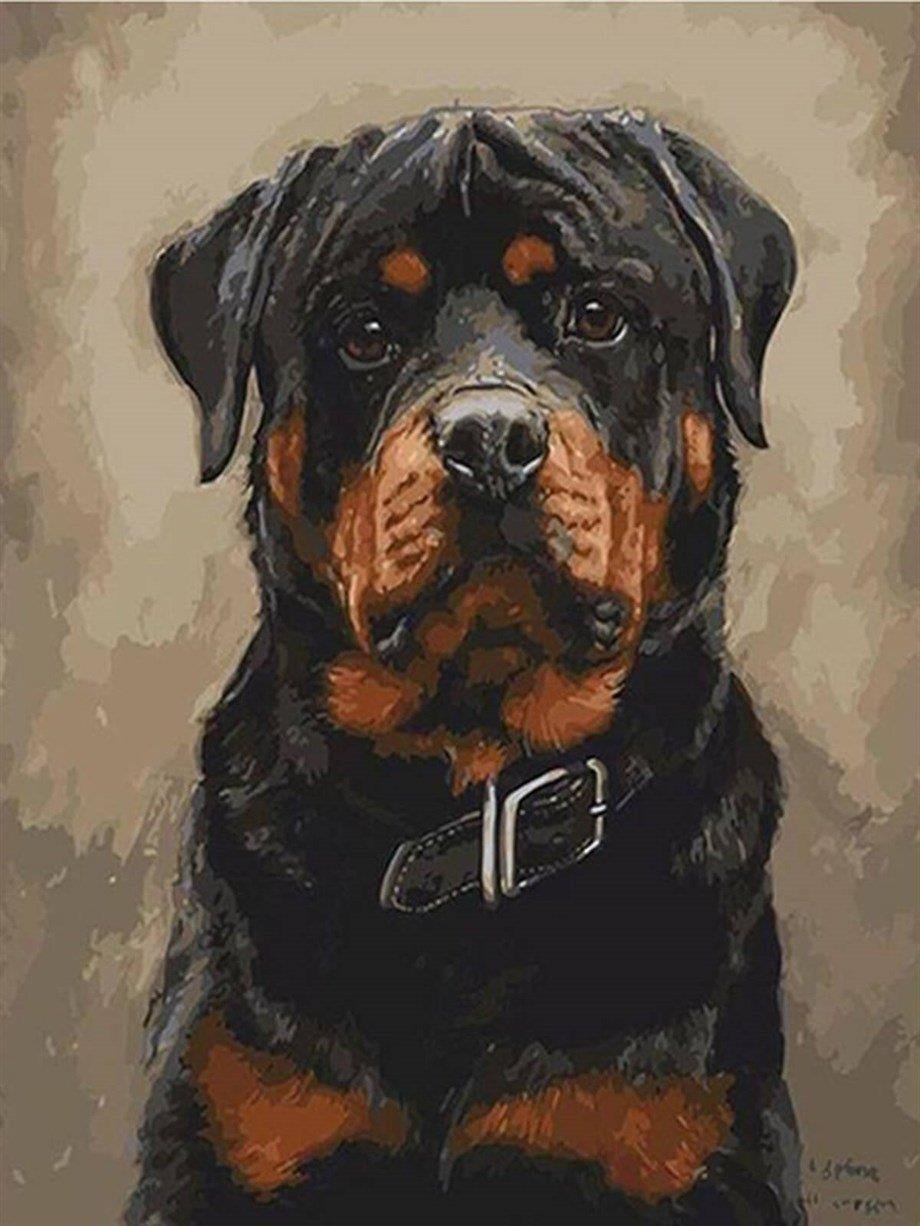 Rotvaydır Sayılarla Boyama Seti(40x50 cm Tuval Şasesine Gerili)