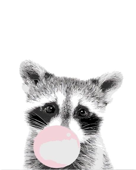 Sakız Çiğneyen Rakun Sayılarla Boyama Seti( Tuval Şasesine Gerili)