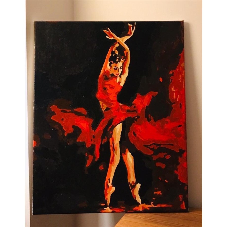 Tangonun Atesi Sayılarla Boyama Seti 40x50 cm (Tuvale Gerili)