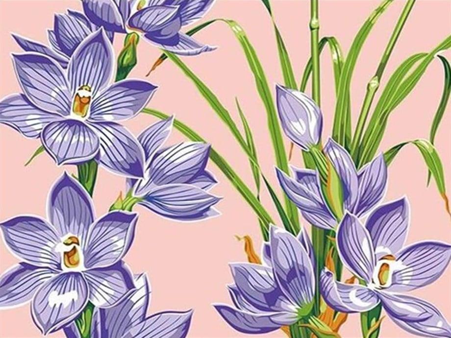 Tatlı Çiçekler Sayılarla Boyama Seti(40x50 cm Tuval Şasesine Gerili)