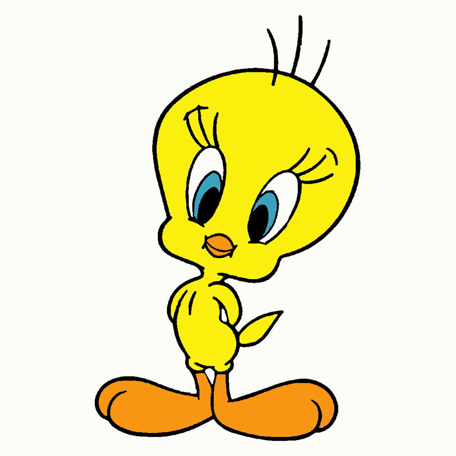 Tweety Bırd Sayılarla Boyama Seti 20x20