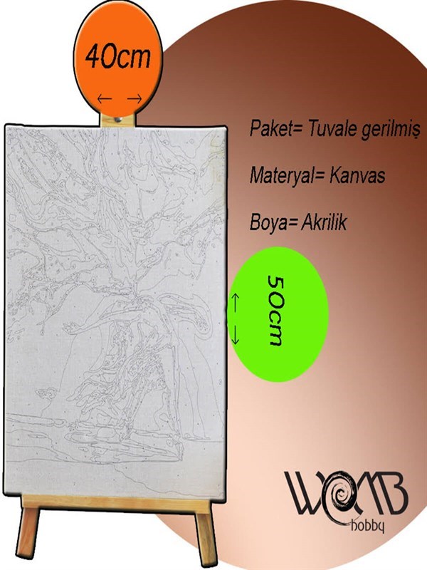 Buones Aries Sayılarla Boyama Seti 40x50 cm (Tuvale Gerili)
