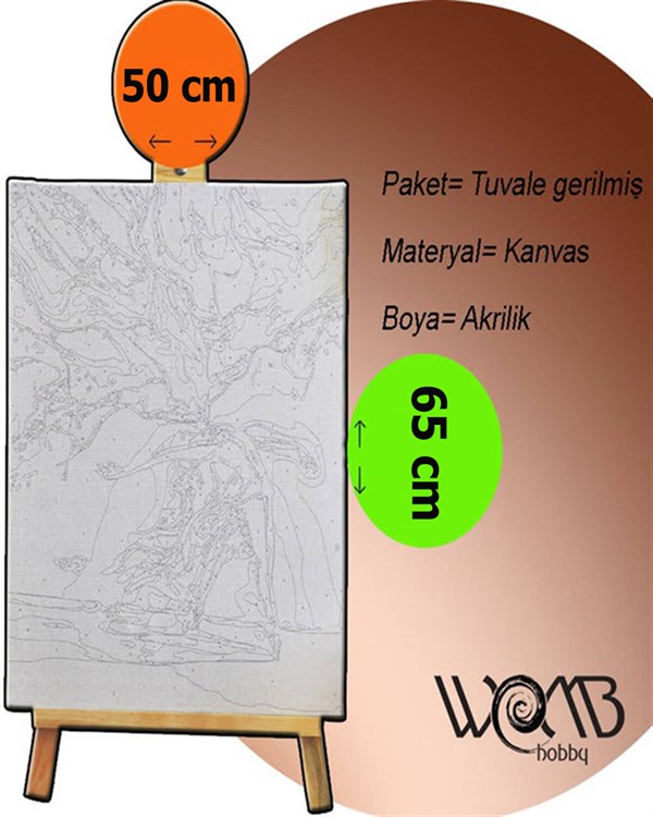Gelincik 3 Sayılarla Boyama Seti 40x50 cm (Tuvale Gerili)