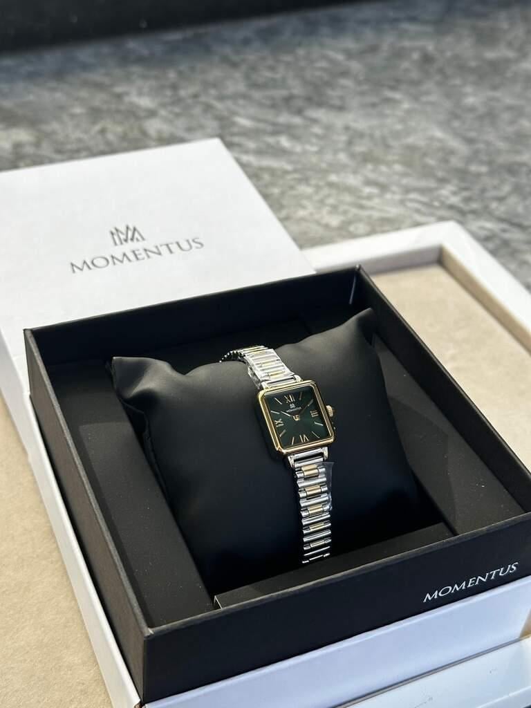 MOMENTUS CW312T-15SG