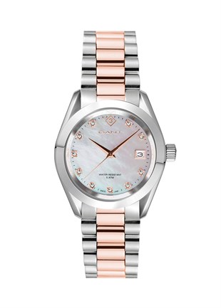 GANT G176104