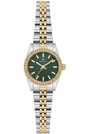 MOMENTUS SW262T-15SG