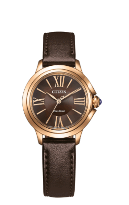 CITIZEN EM1163-09X