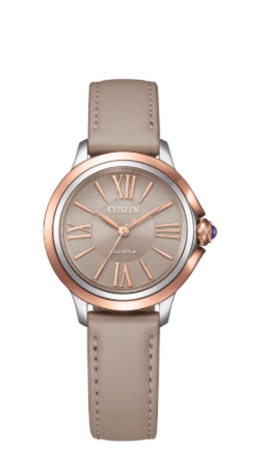CITIZEN EM1166-01Z