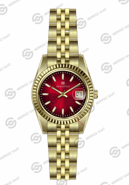 MOMENTUS CW135G-14SG
