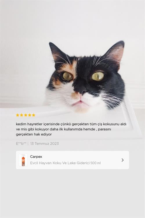 Carpex Evcil Hayvan Koku Ve Leke Giderici 500 ML