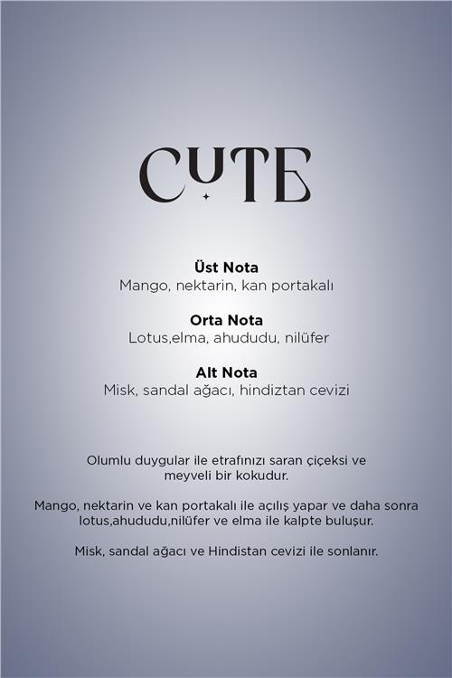 Cute Maxx Pro600 Koku Kartuşu 120 ML Classic Seri