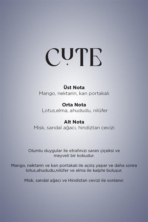 Cute Maxx Tower 750-X  Koku Kartuşu 100 ML Classıc Seri