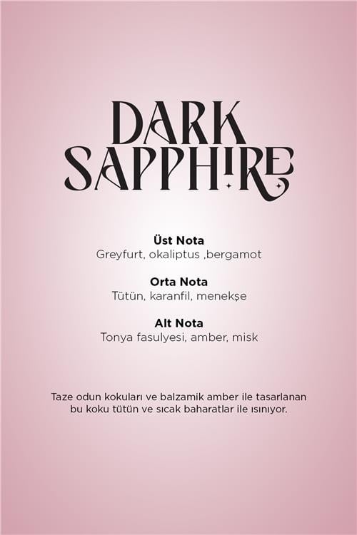 Dark Sapphire Maxx Pro600 Koku Kartuşu 120 MLPremium Seri