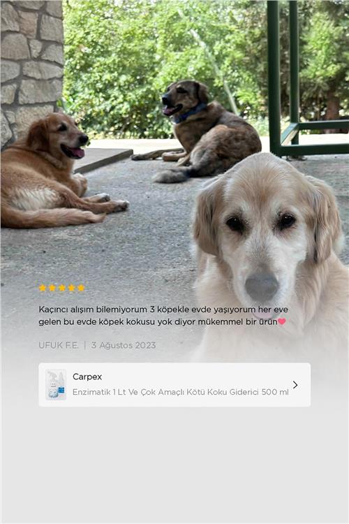 Enzimatik ve Çok Amaçlı Kötü Koku Giderici Set