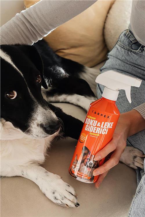 Evcil Hayvan Koku Ve Leke Giderici 500 ML - 2li