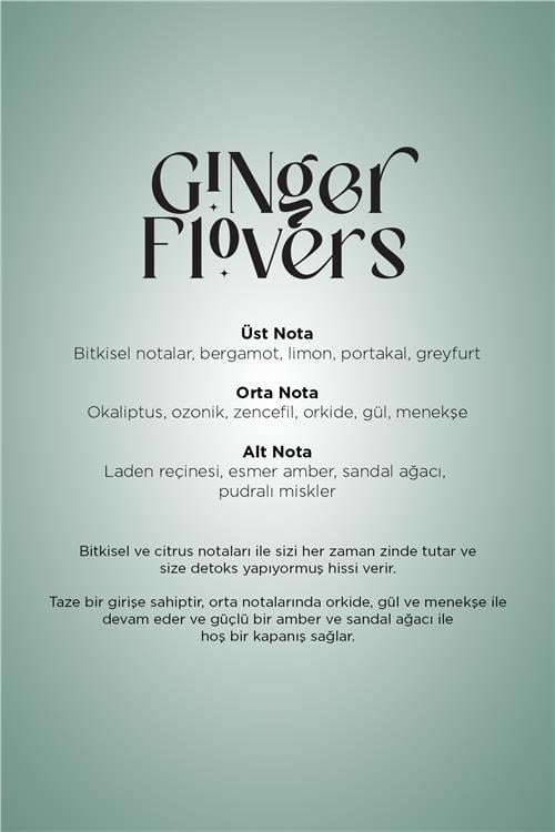 Ginger Flowers Auramax Koku Kartuşu 250 ML Premium Seri