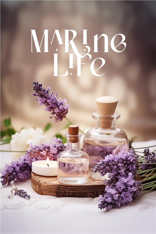 Marine Life Auramax Koku Kartuşu 250 ML Classic Seri