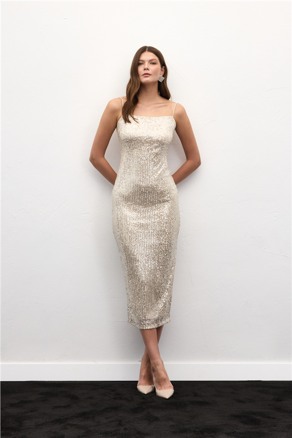 Kadife Payetli Uzun Elbise - Gümüş