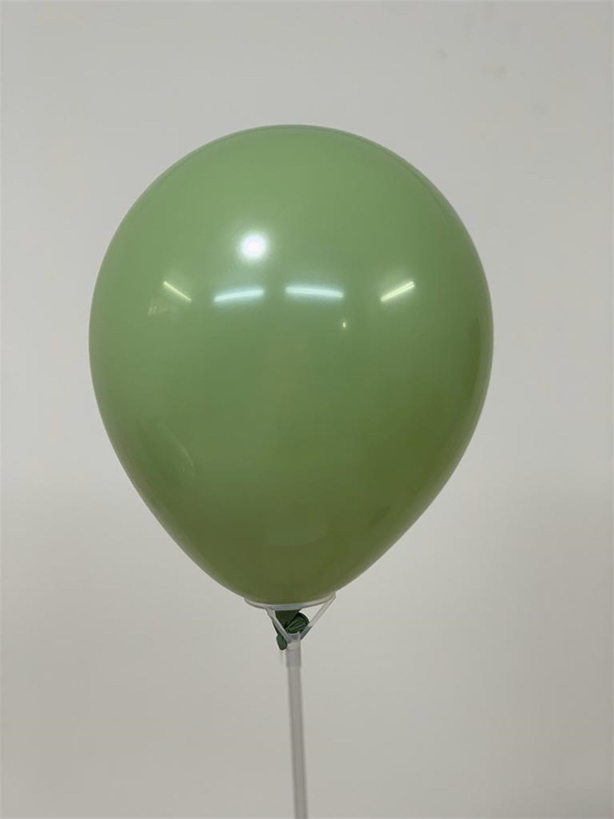 Retro Okaliptus Balon 5 İnç - 10 Adet