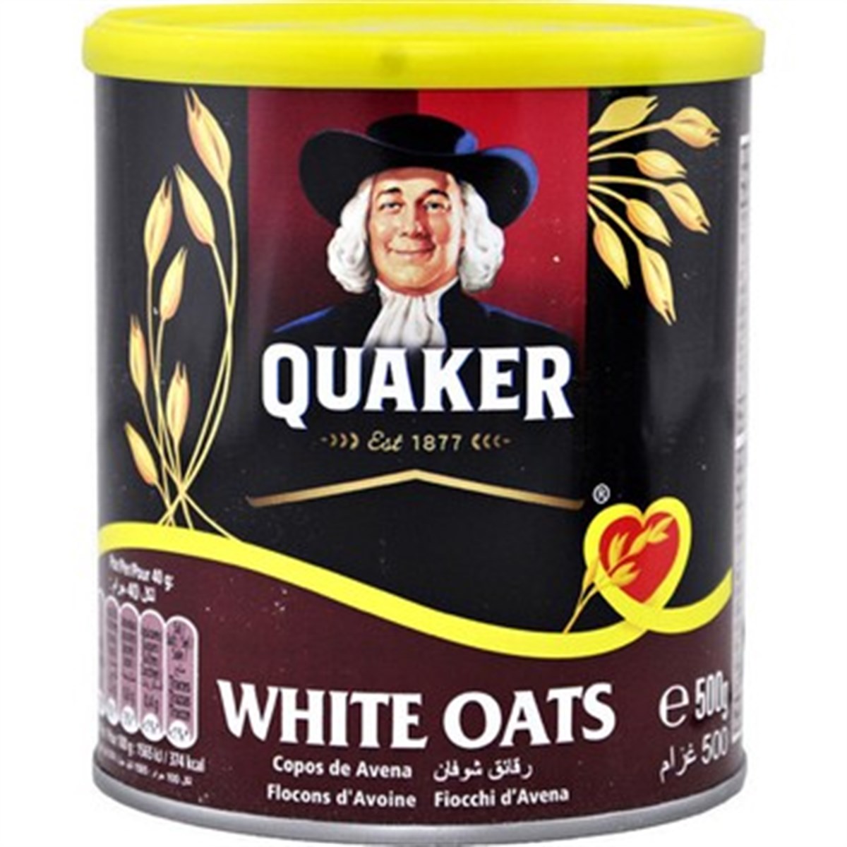 QUAKER YULAF EZMESİ 500G