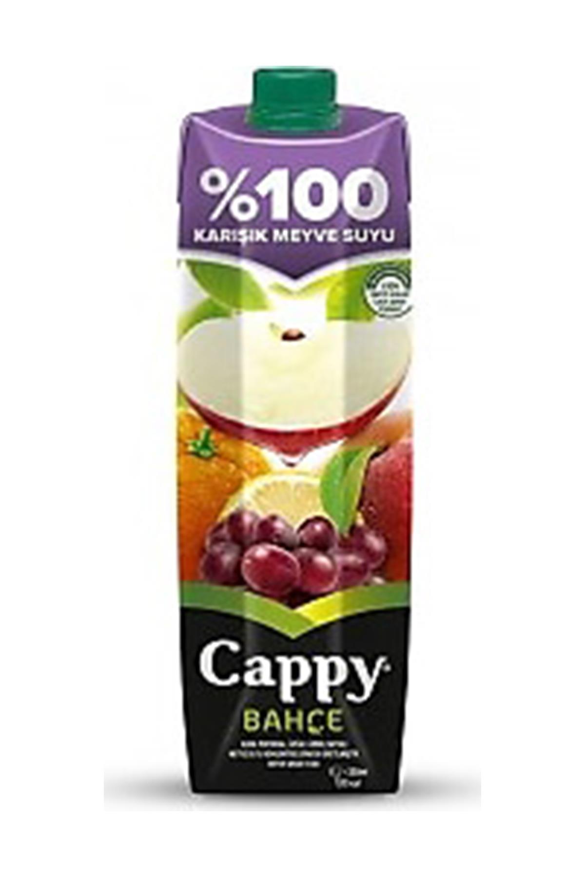 CAPPY KARIŞIK MEYVE SUYU %100 1LT