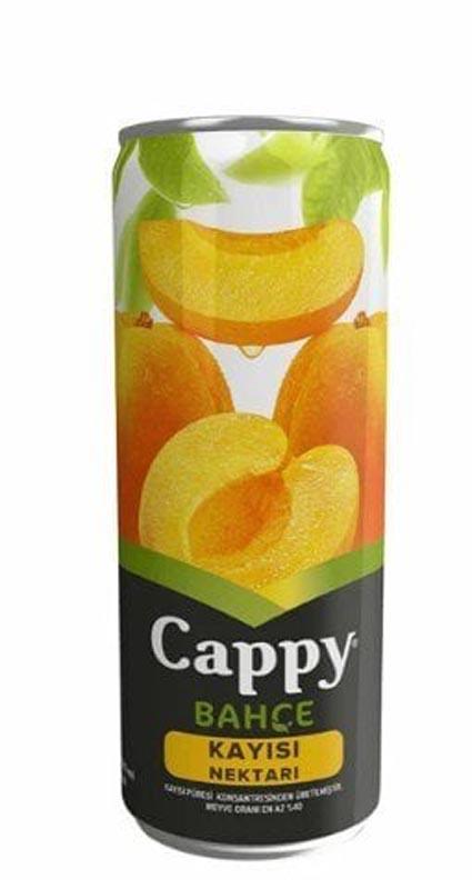 CAPPY KAYISI KUTU 330 ML