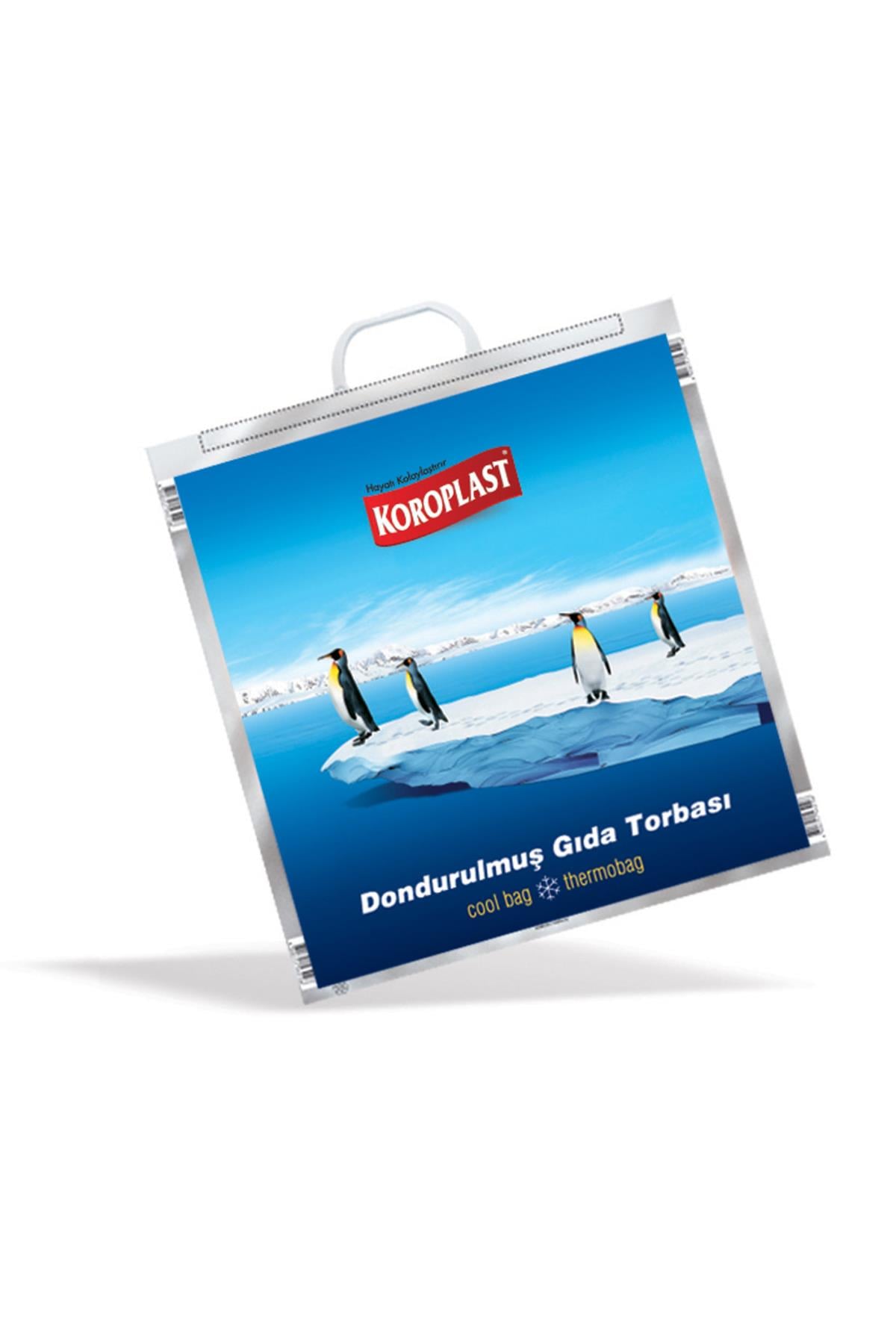 KOROPLAST DONDURULMUŞ GIDA TORBASI