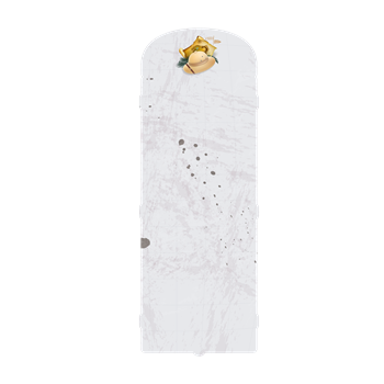 EXPLORER LOU KİTAPLIK - SEPERATÖRLÜ