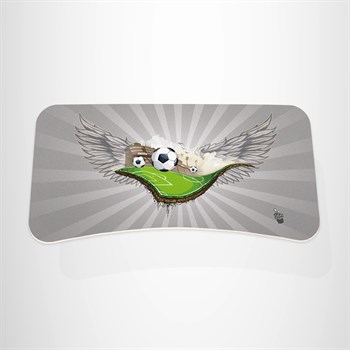 FOOTBALL LEAGUE YÜKSELTİCİ ÇOCUK BASAMAĞI