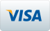visa credit card icon