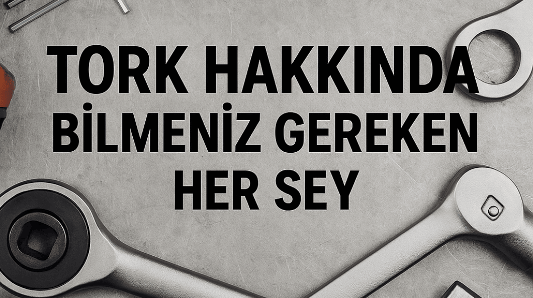 Tork Hakkında Bilmeniz Gereken Her Şey