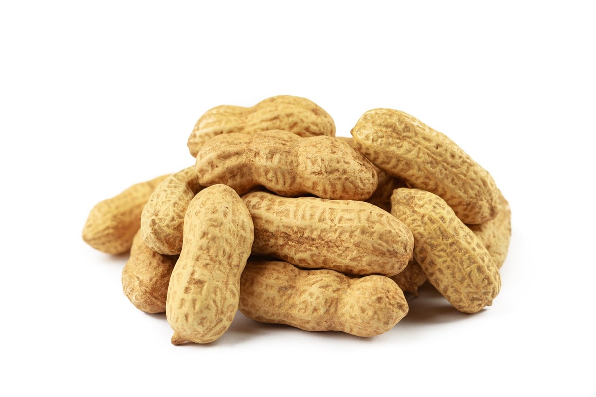 ROASTED PEANUT IN SHELL 100g