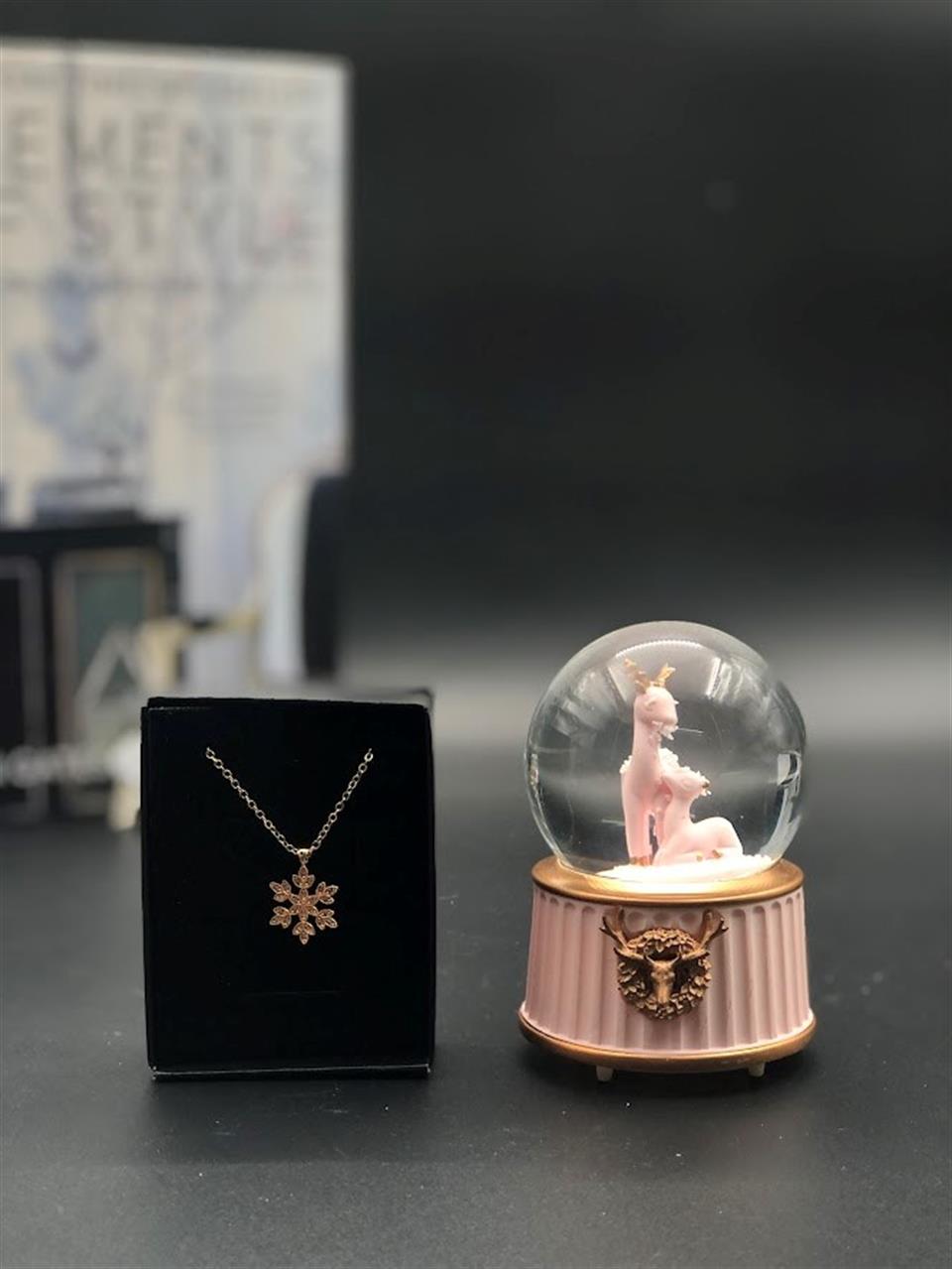 zirkon kolye ve mini küre  anneme anneler günü hediyesi eşe sevgiliye doğum günü hediyesi 